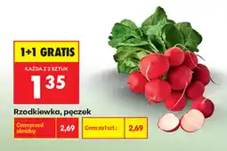 Biedronka Rzodkiewka, pęczek oferta
