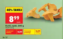 Biedronka Kurki oferta