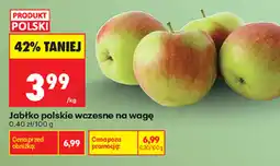 Biedronka Jabłko polskie wczesne na wagę oferta