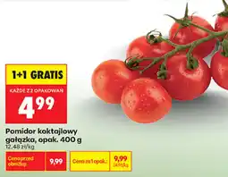 Biedronka Pomidor koktajlowy gałązka oferta