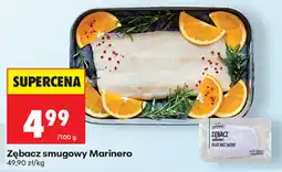 Biedronka Zębacz smugowy Marinero oferta