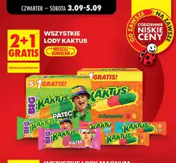 Biedronka Lody Kaktus oferta