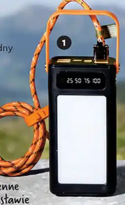 Biedronka Powerbank z panelem solarnym i latarką oferta