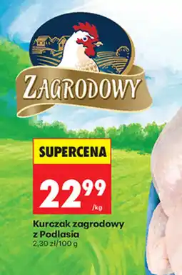 Biedronka Kurczak zagrodowy z Podlasia oferta