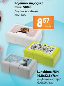Jubilat Pojemnik na jogurt musli RAVI oferta