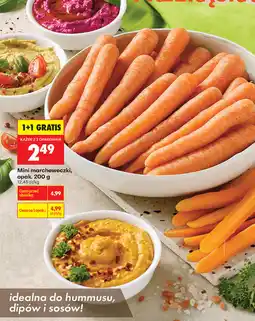Biedronka Mini marcheweczki oferta