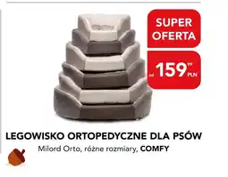 AquaelZOO Legowisko Comfy oferta