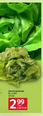 Selgros Sałata masłowa oferta