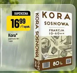 Polomarket Kora sosnowa frakcja 10-60 mm oferta