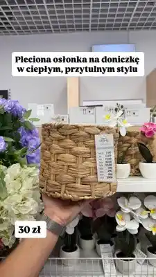 Pepco Pleciona osłonka na doniczkę Pepco Home oferta