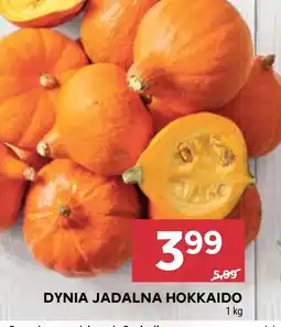 Stokrotka Market Dynia oferta
