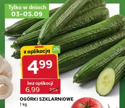 Stokrotka Express Ogórki oferta