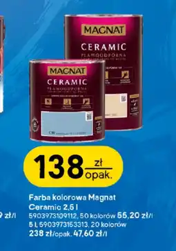 Castorama Farba Magnat oferta