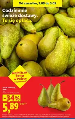 Lidl Gruszki Konferencja oferta