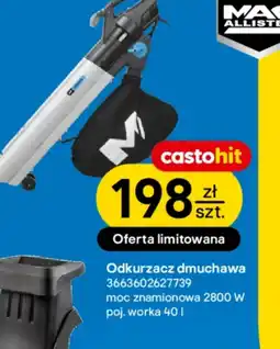 Castorama Dmuchawa Mac Allister oferta