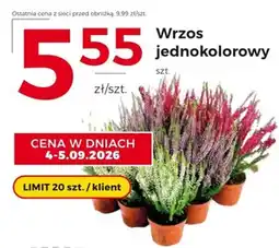 Frac Wrzos jednokolorowy oferta