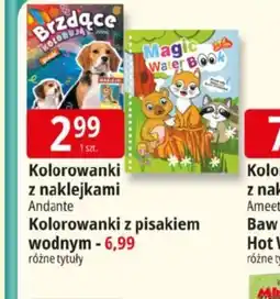 E.Leclerc Kolorowanki z naklejkami Andante oferta