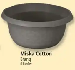 E.Leclerc Miska Cotton oferta