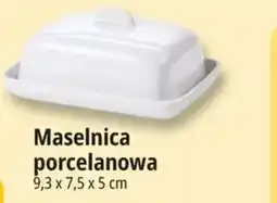 E.Leclerc Maselnica porcelanowa oferta