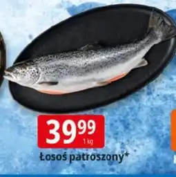 E.Leclerc łosoś patroszony* oferta