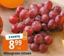 E.Leclerc Winogrono różowe oferta