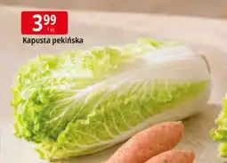 E.Leclerc Kapusta pekińska oferta