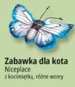 E.Leclerc Zabawka dla kota Niceplace oferta