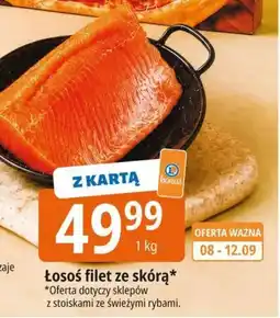 E.Leclerc Łosoś filet ze skórą oferta