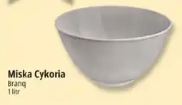 E.Leclerc Miska Cykoria Branq oferta