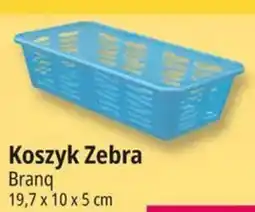 E.Leclerc Koszyk Zebra Branq oferta