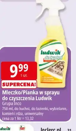 E.Leclerc Mleczko/Pianka w sprayu do czyszczenia Ludwik oferta
