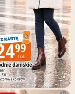 E.Leclerc odnie damskie oferta