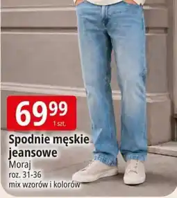 E.Leclerc Spodnie męskie jeansowe Moraj oferta