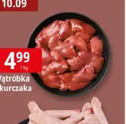 E.Leclerc Wątróbka kurczaka oferta