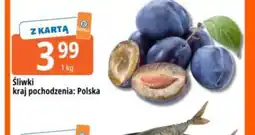 E.Leclerc Śliwki oferta