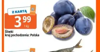 E.Leclerc Śliwki oferta