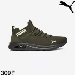 CCC Buty sportowe Puma oferta