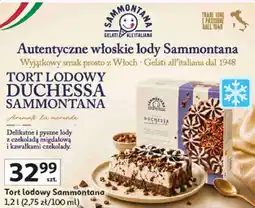 Auchan Tort lodowy Duchessa Sammontana oferta