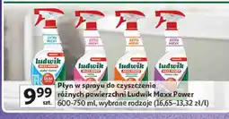 Auchan Płyn w sprayu do czyszczenia różnych powierzchni Ludwik Maxx Power oferta