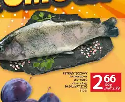 Selgros Pstrąg tęczowy oferta