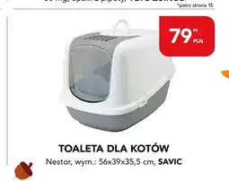 AquaelZOO Toaleta dla kotów Nestor 56x39x35,5 cm Savic oferta