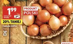 Delikatesy Centrum Cebula żółta oferta
