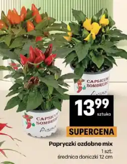 Delikatesy Centrum Papryczki ozdobne mix oferta