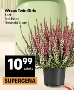 Delikatesy Centrum Wrzos Twin Girls oferta