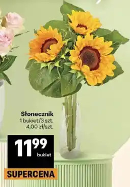 Delikatesy Centrum Słonecznik oferta