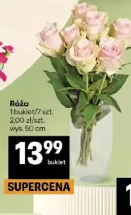 Delikatesy Centrum Róża oferta
