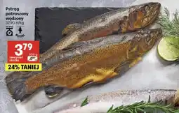 Delikatesy Centrum Pstrąg patroszony wędzony oferta