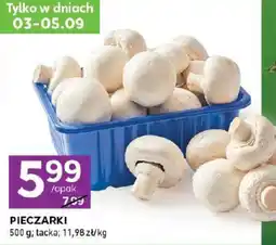 Stokrotka Express Pieczarki oferta