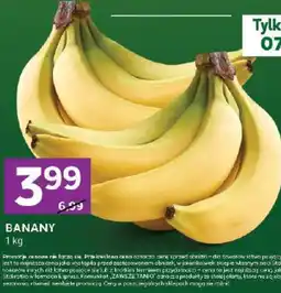 Stokrotka Express BANANY oferta