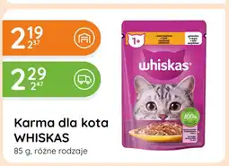 Eurocash Cash & Carry Karma dla kota Whiskas oferta